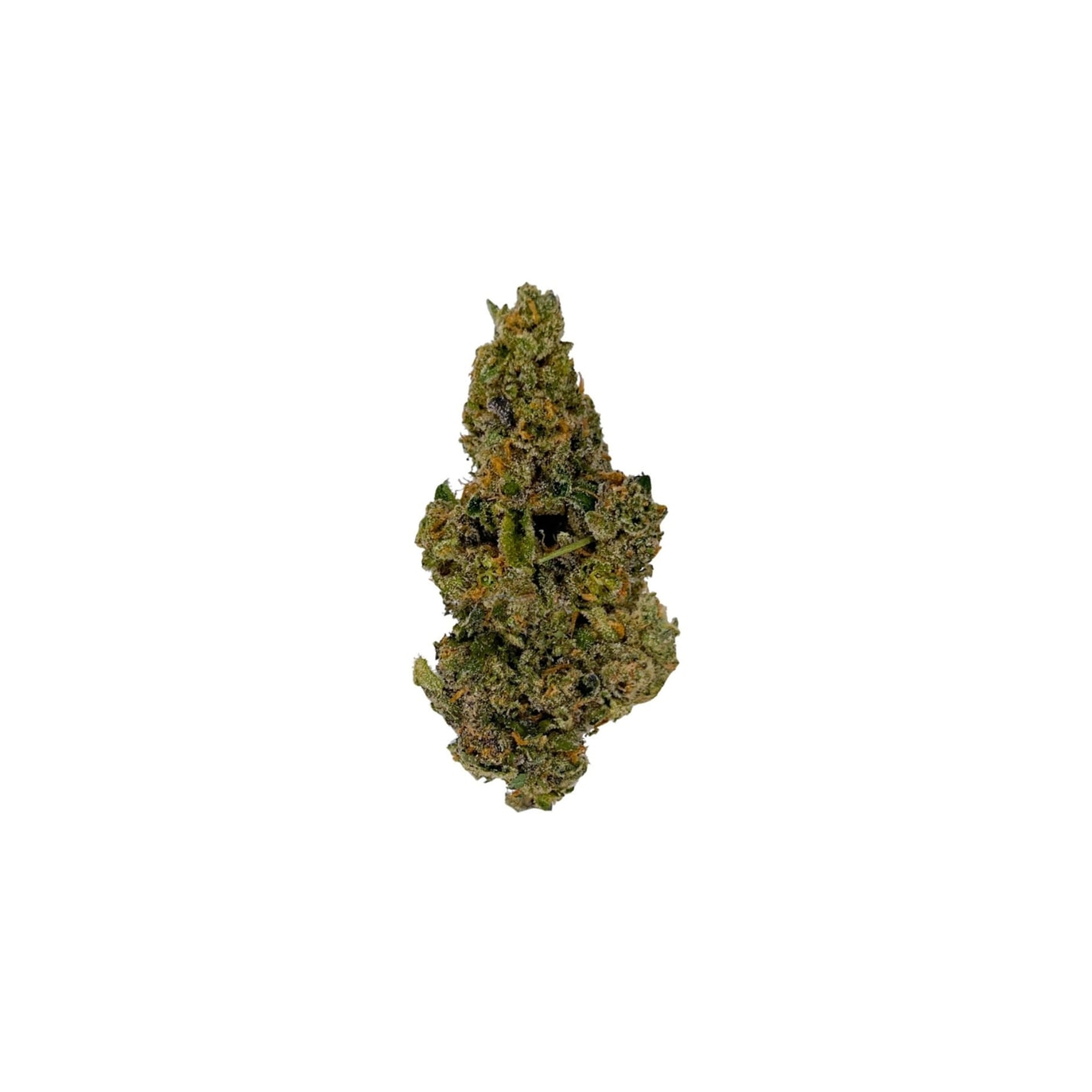 Salt Spring Magic : MAGI'S SMALLS HIPPIE POP 1 Salt Spring Magic : hippie pop