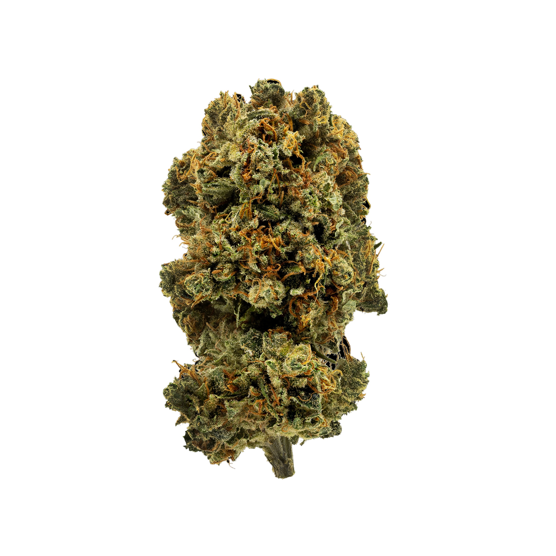 1964 : BLUE DREAM - 28g 1 1964 : blue dream - 28g