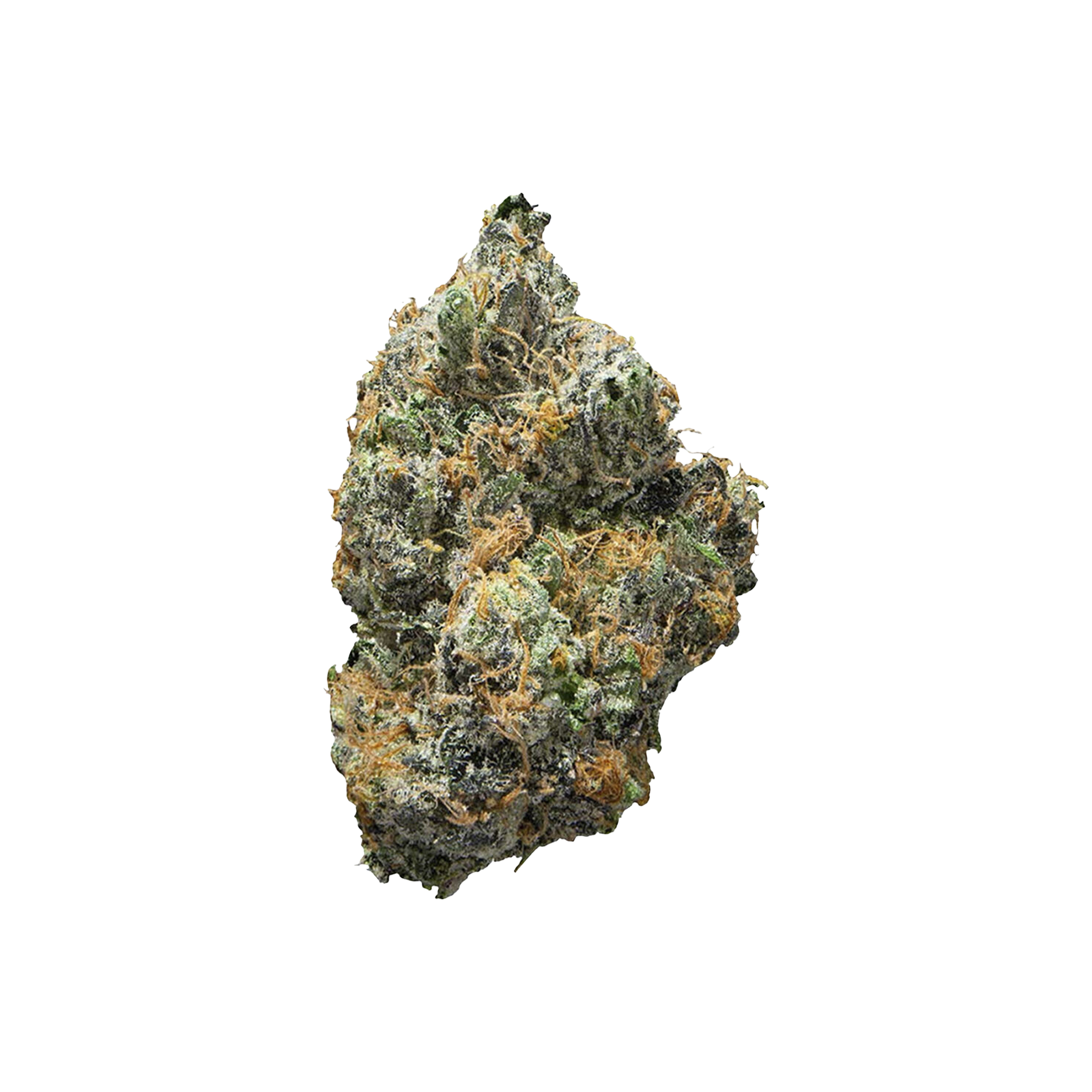 Simply Bare Organic : BC ORGANIC TEA TIME - 3.5g 1 Simply Bare : BC ORGANIC TEA TIME - 3.5g