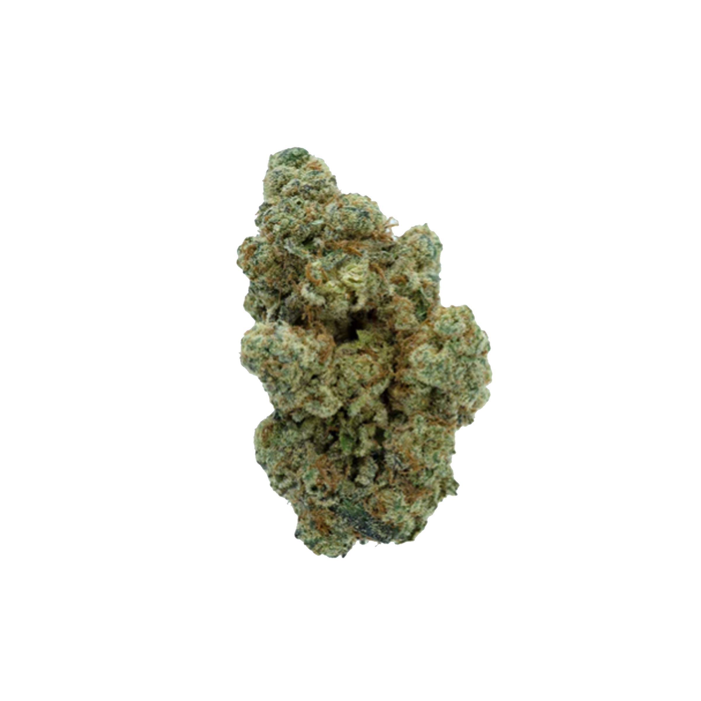 All Nations : GLITTER BOMB - 3.5g 1 All Nations : GLITTER BOMB - 3.5g