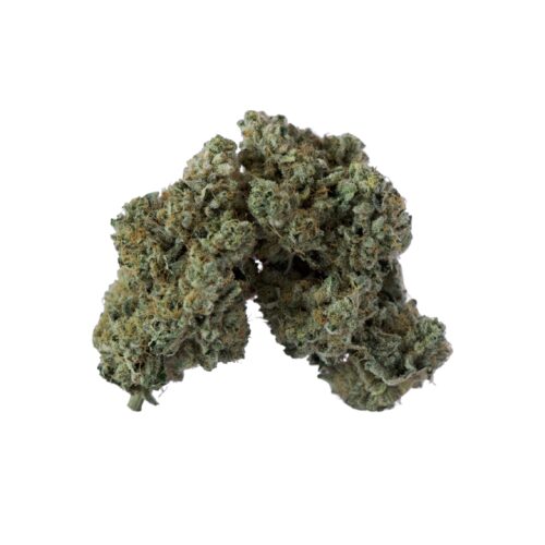 Island Genetics : LIME HEADS - 7g