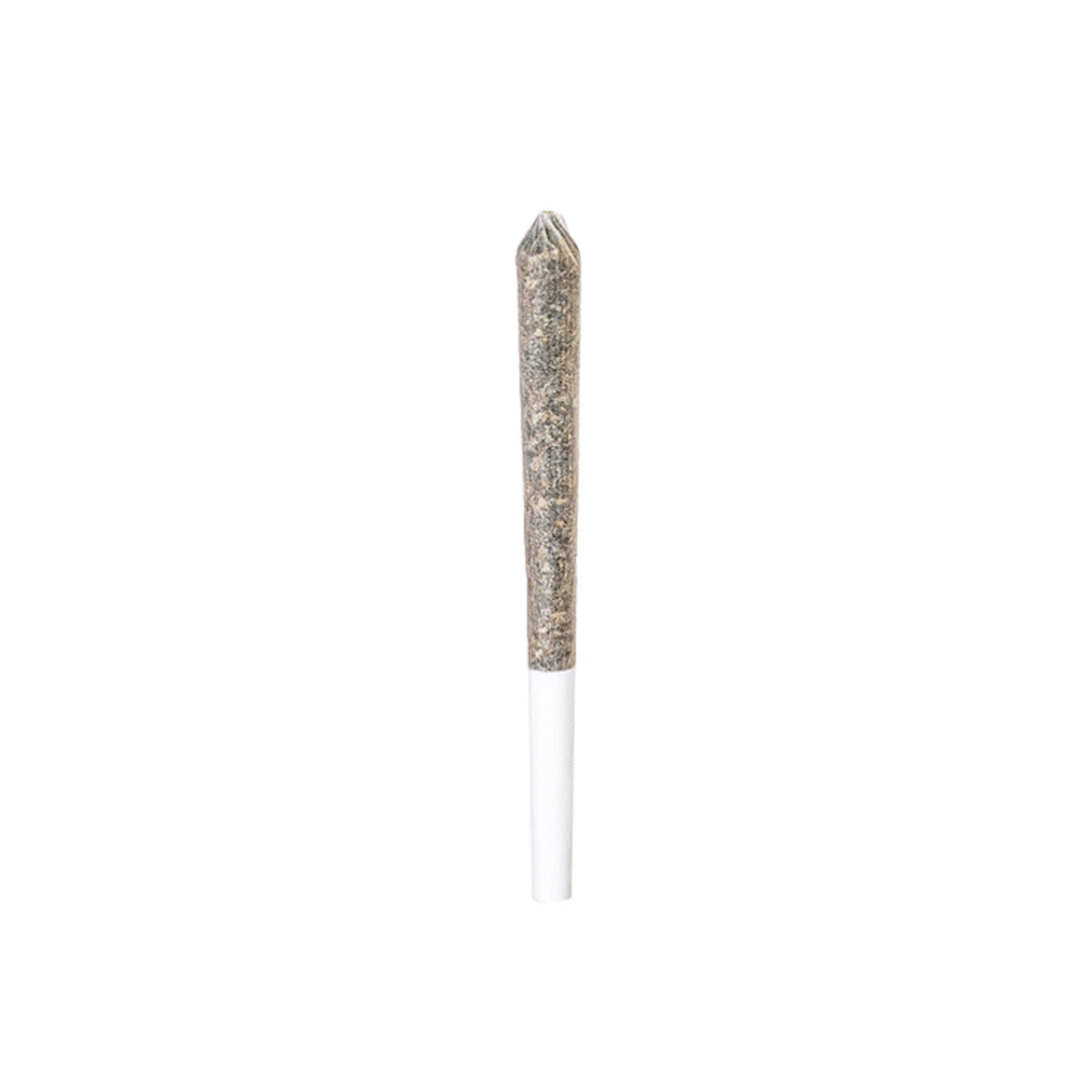 Rogworld : CADILLAC RAINBOW PRE-ROLL 1 Rogworld : CADILLAC RAINBOW PRE-ROLL