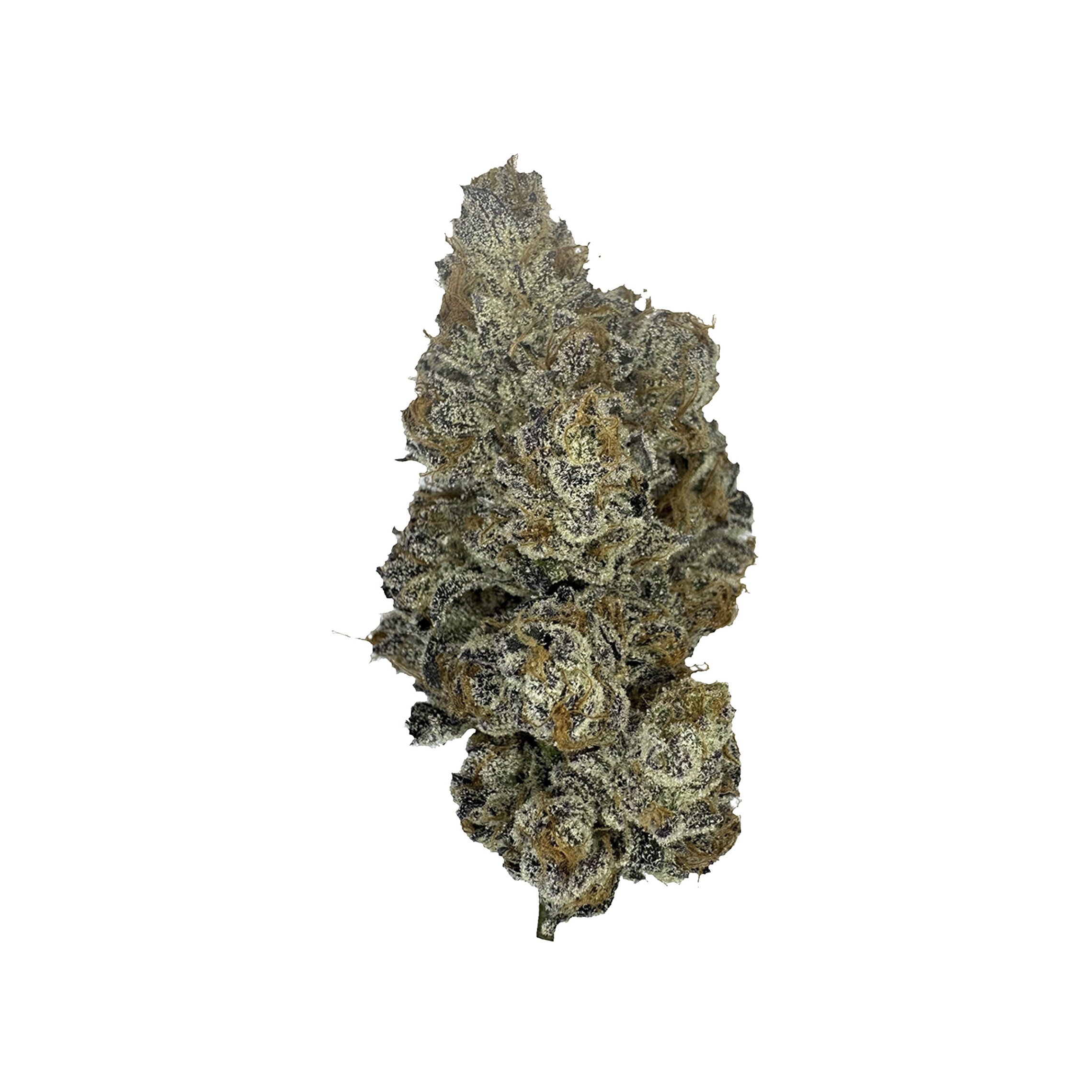 The Kitchen : KADILLAC RAINBOW - 7g 1 The Kitchen : KADILLAC RAINBOW - 7g