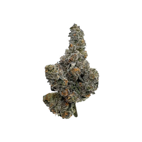 Amani Craft : GASTRO POP - 28g