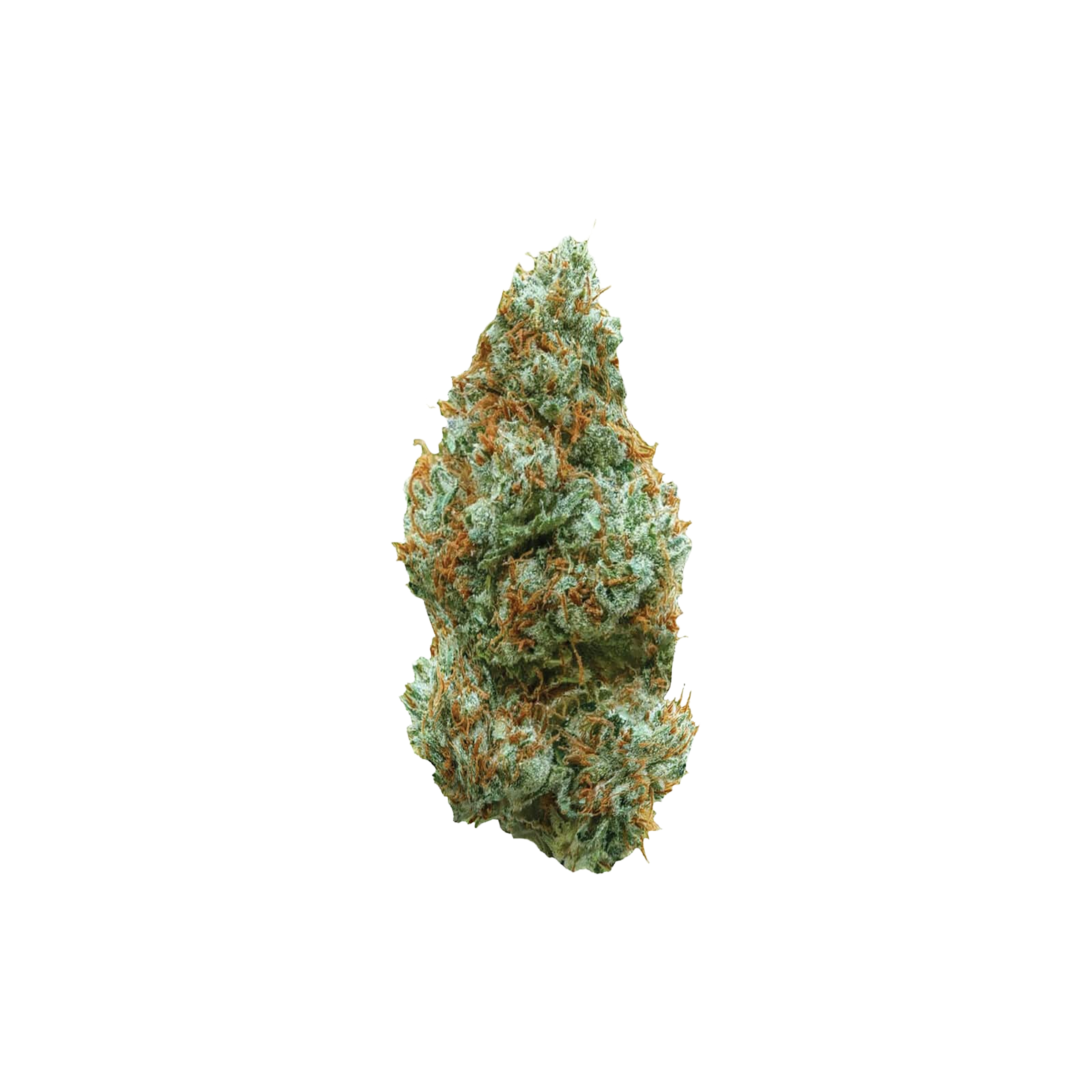 All Nations : LEMON TARTZ - 14 g 1 All Nations : LEMON TARTZ - 14 g