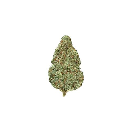Sitka Legends : TAHITI PUNCH CRAFT SMALLS - 3.5g