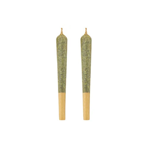 Terra Farms : ZESTY PARM PRE-ROLLS