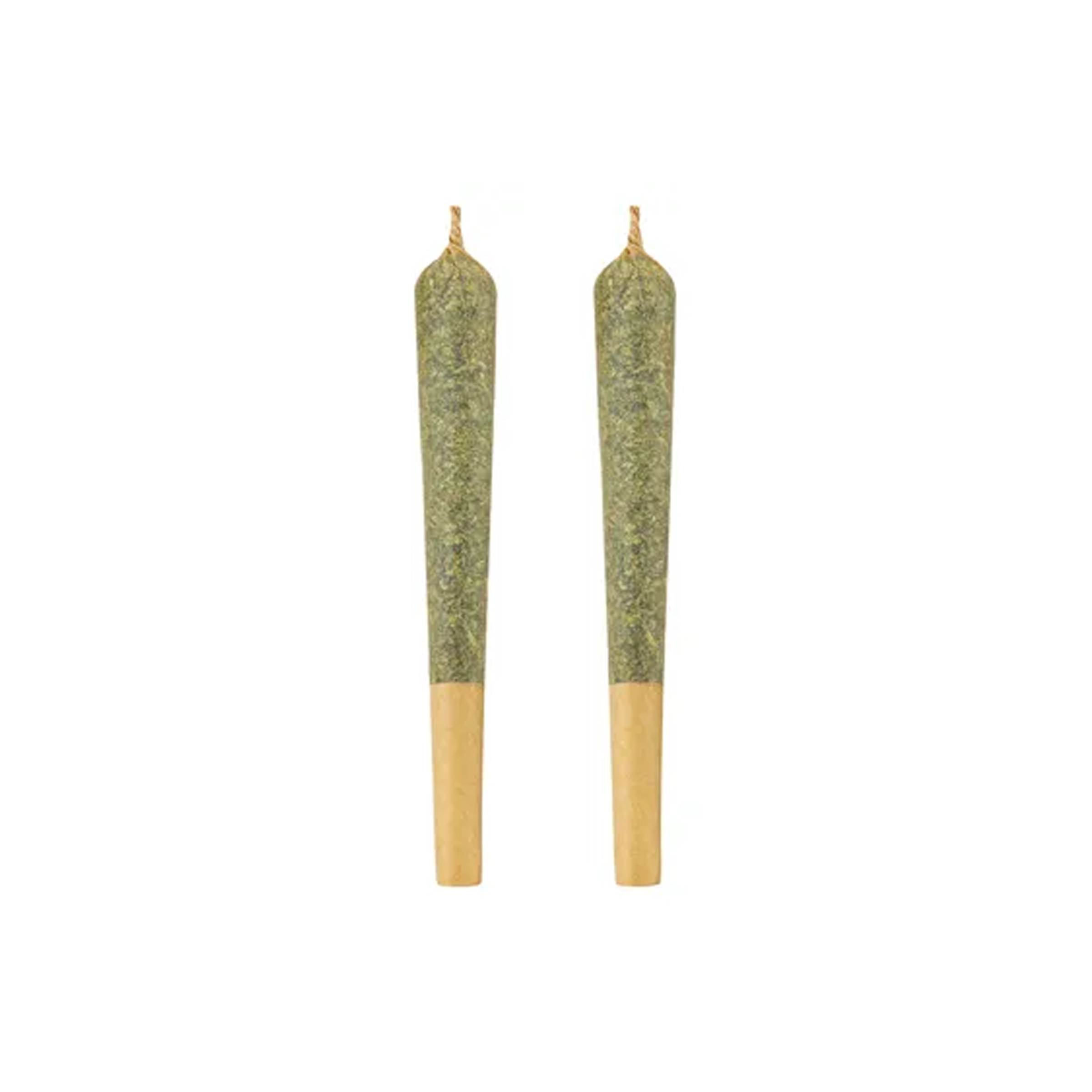 Terra Farms : ZESTY PARM PRE-ROLLS 1 Terra Farms : ZESTY PARM PRE-ROLLS