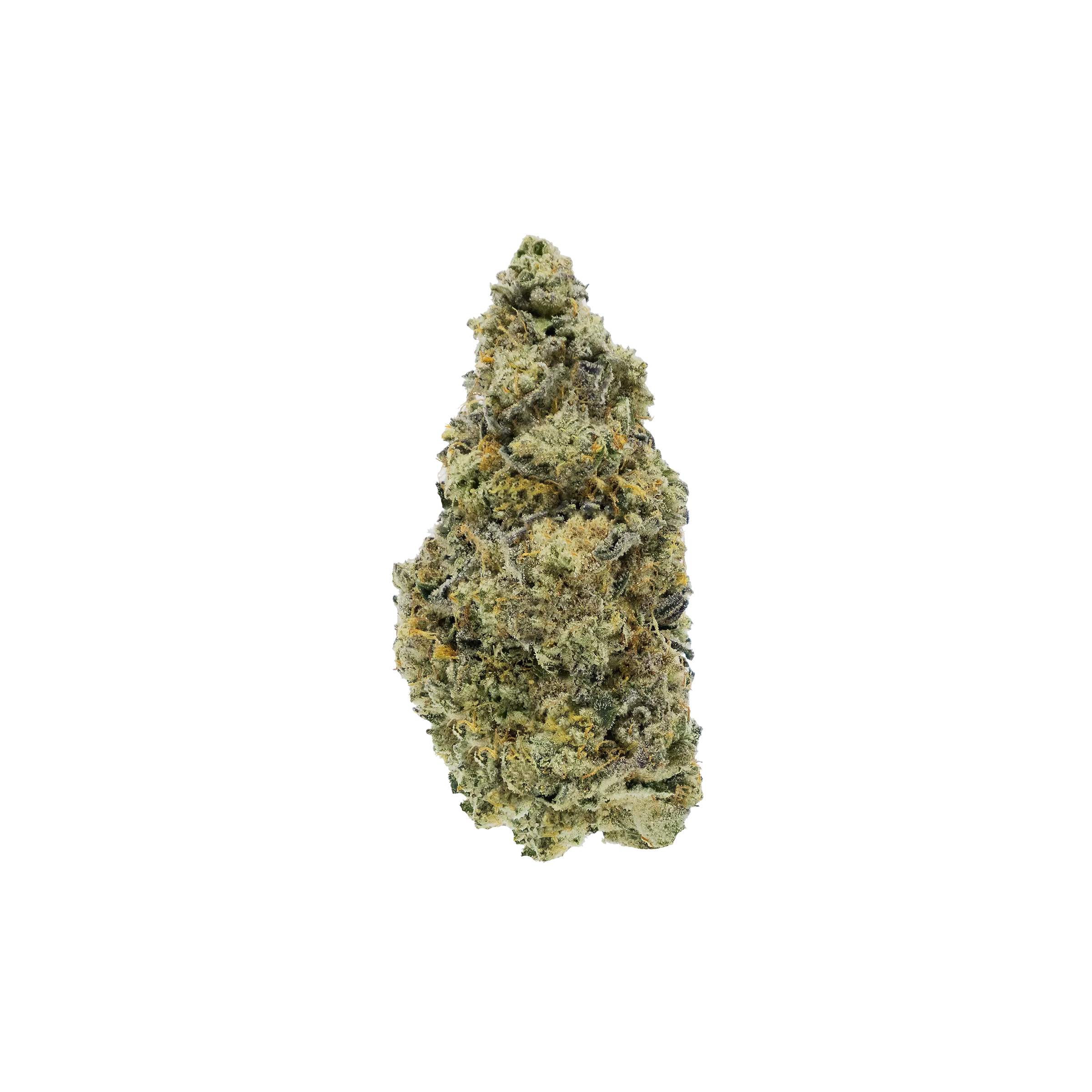 Woody Nelson : DARK RAINBOW CRAFT FLOWER - 14g 1 Woody Nelson : DARK RAINBOW CRAFT FLOWER - 14g