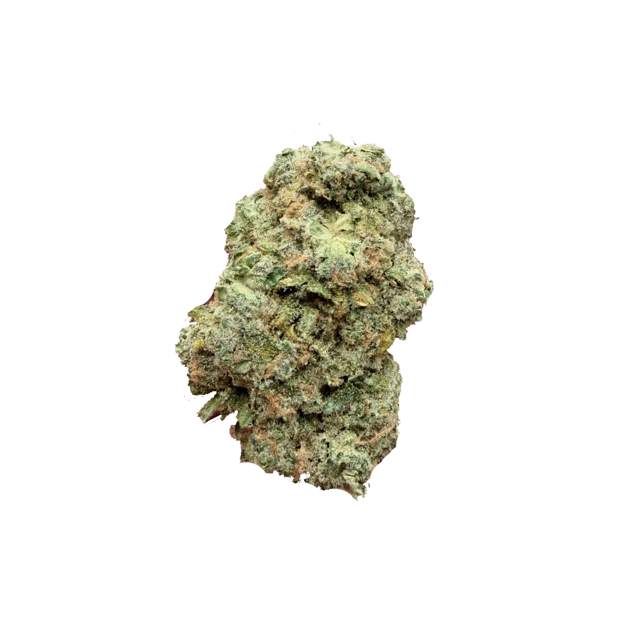 Bonkers : DREAM CATCHER - 28g 1 Bonkers : DREAM CATCHER - 28g