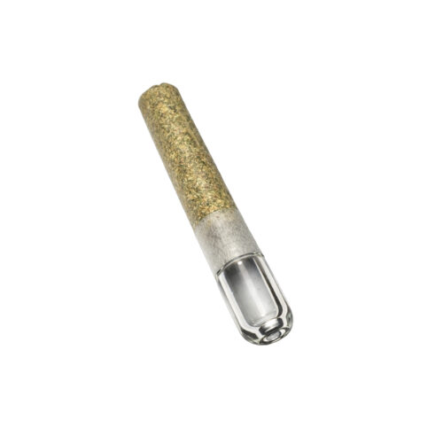 Sauce Rosin Labs : HASH HOLE INFUSED PRE-ROLL LTO (PAPAYA X WATERMELON HURRICANE) - 1 x 2g