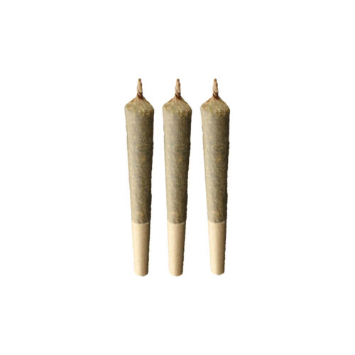 Shucanna : GEORGIA PIE PRE-ROLLS - 3 x 0.5g