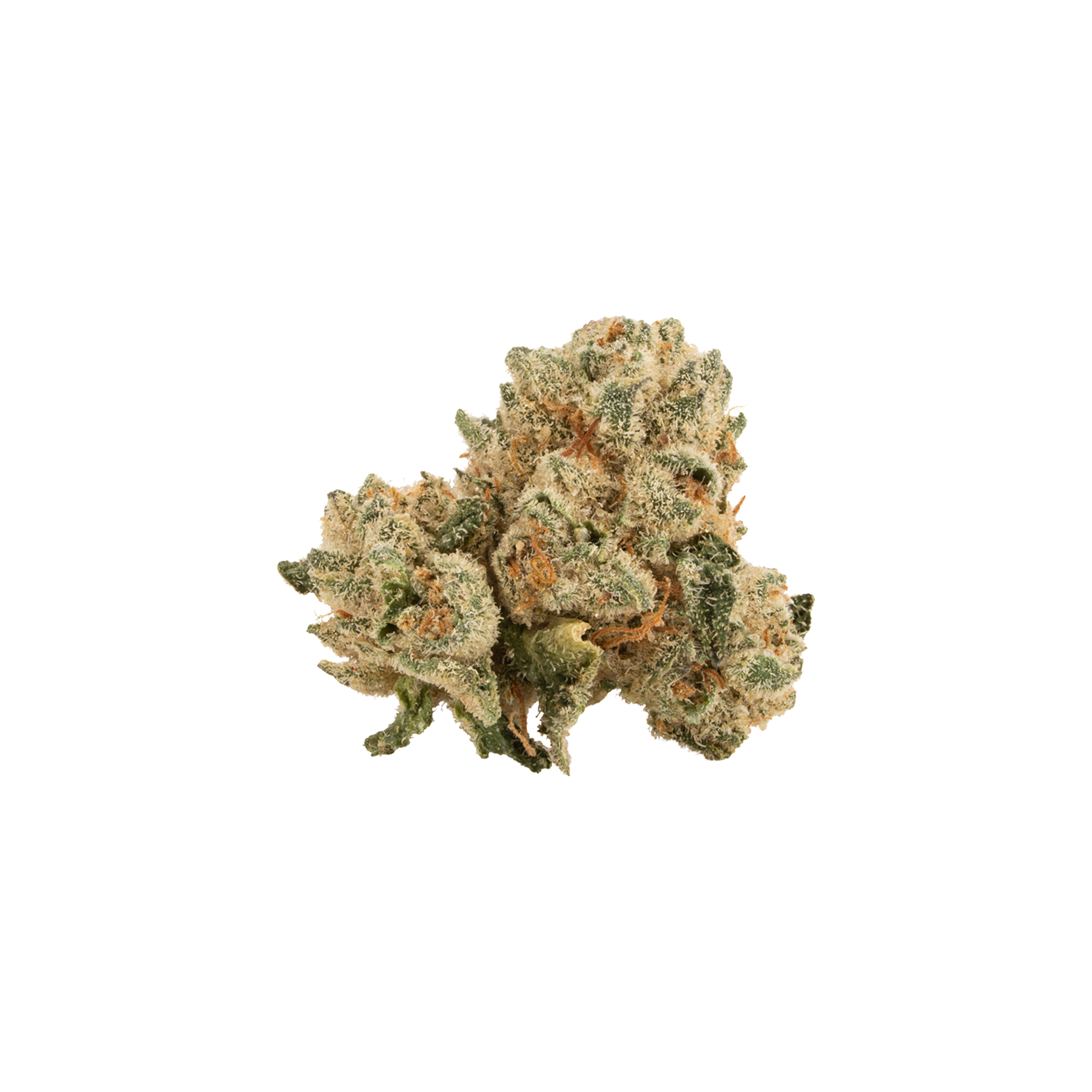 Ripped : SATIVA DRIED FLOWER - 1g 1 Ripped : SATIVA DRIED FLOWER - 1g