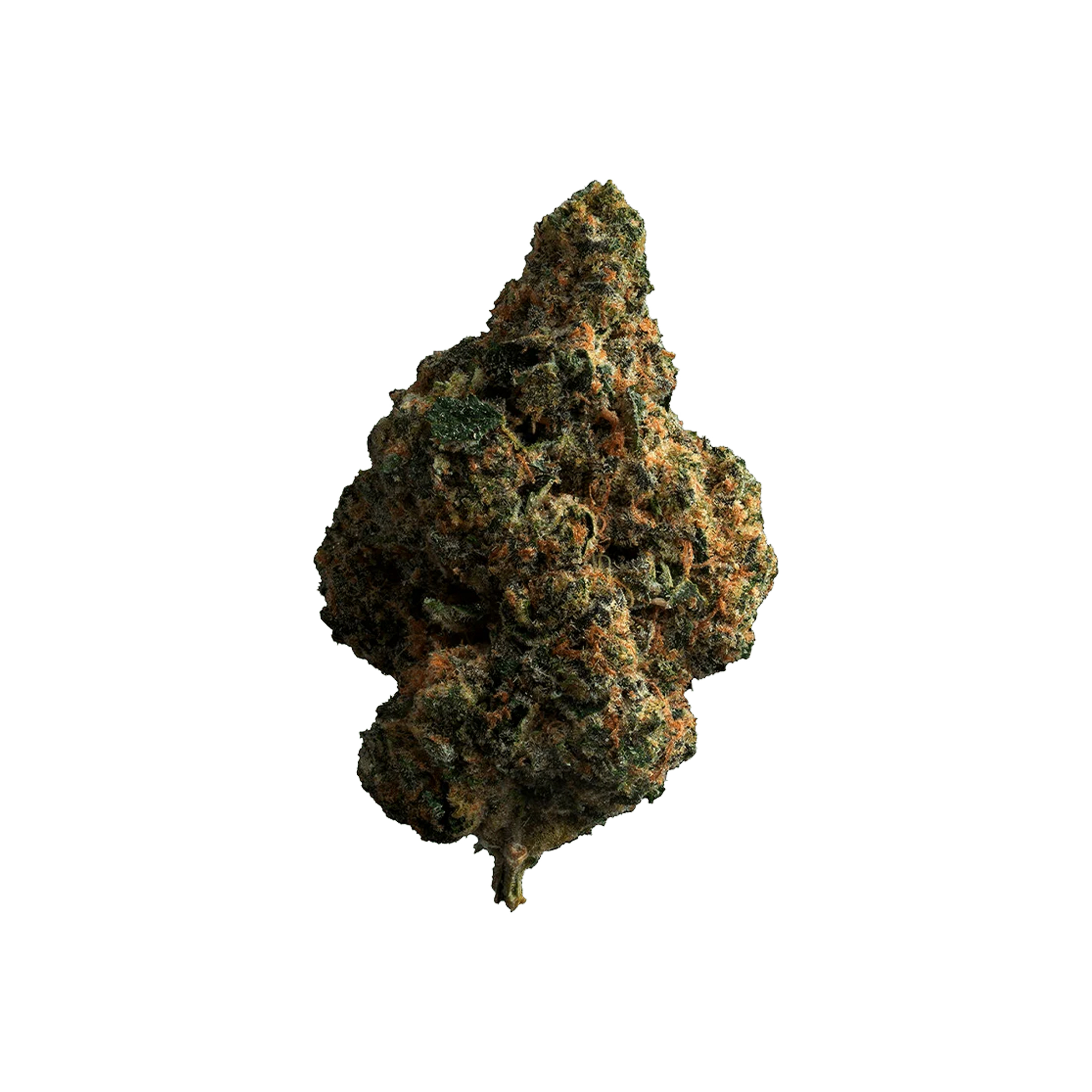 The Loud Plug : TROPICANA COOKIES - 28g 1 The Loud Plug : TROPICANA COOKIES - 28g