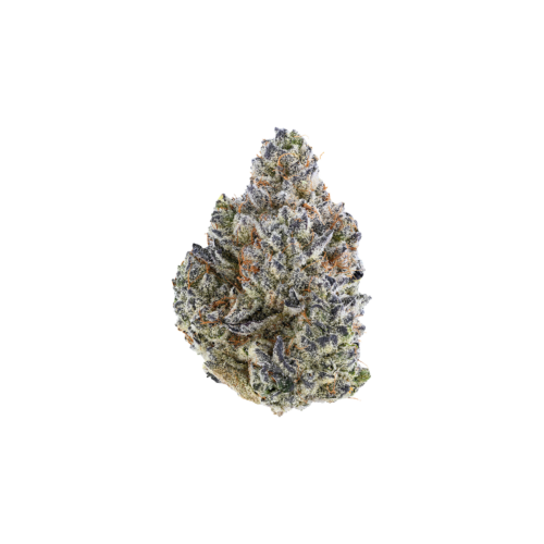 New Products 4 Tribal : BUBBLE UP - 14g