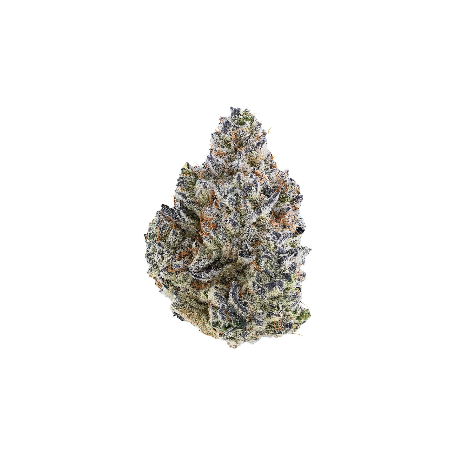 Tribal : BUBBLE UP - 14g 1 Tribal : BUBBLE UP - 14g